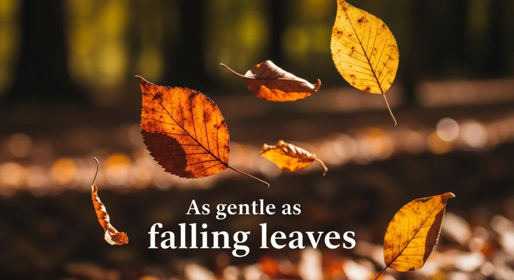 As gentle as falling leaves