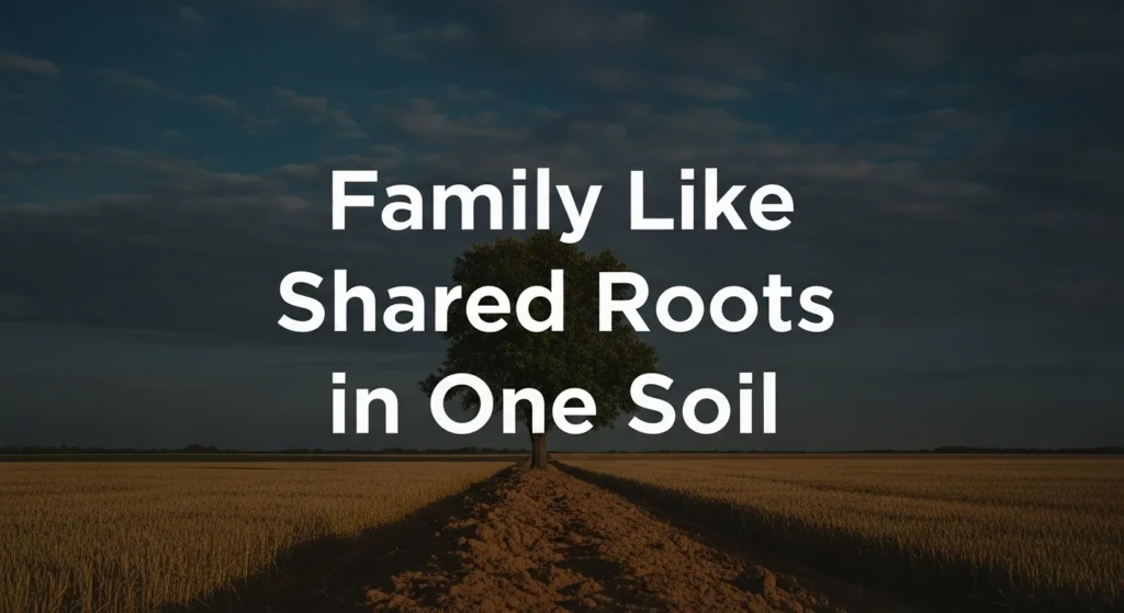 Family Like Shared Roots in One Soil
