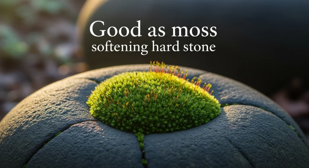 Good as moss softening hard stone