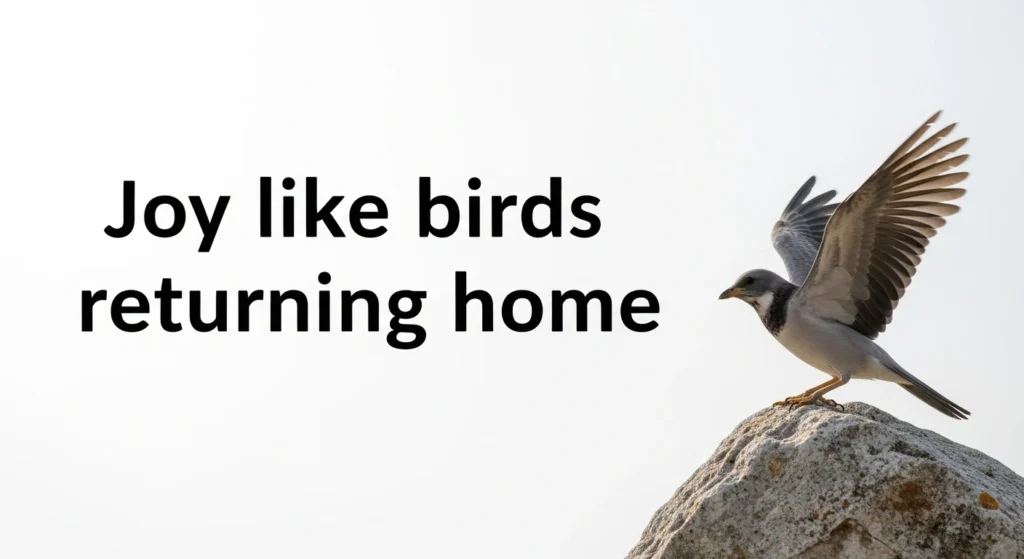 Joy like birds returning home