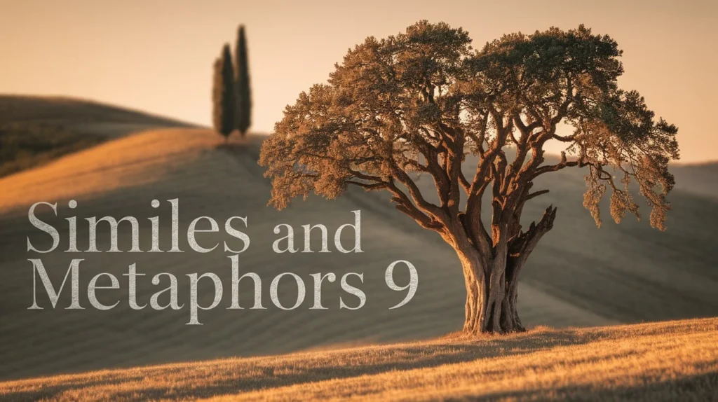 Similes And Metaphors 9