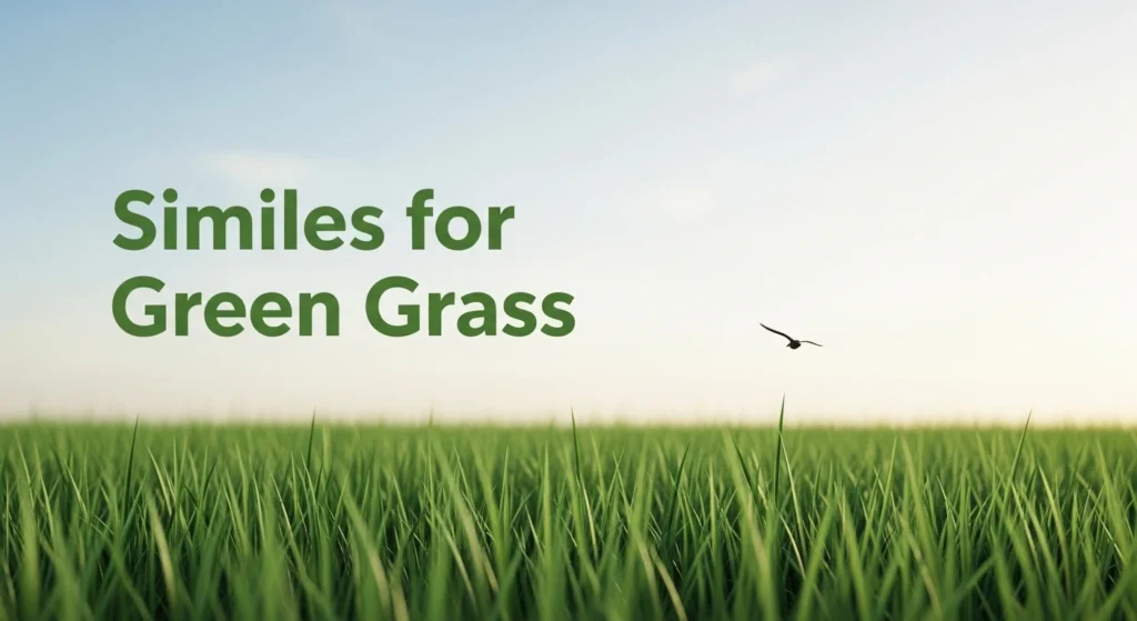 Similes for Green Grass