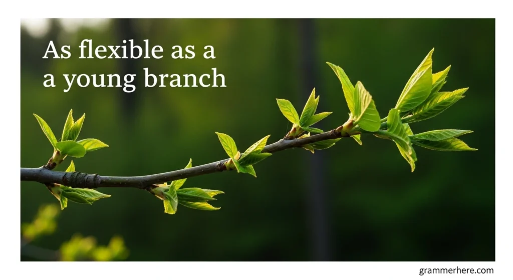 As flexible as a young branch