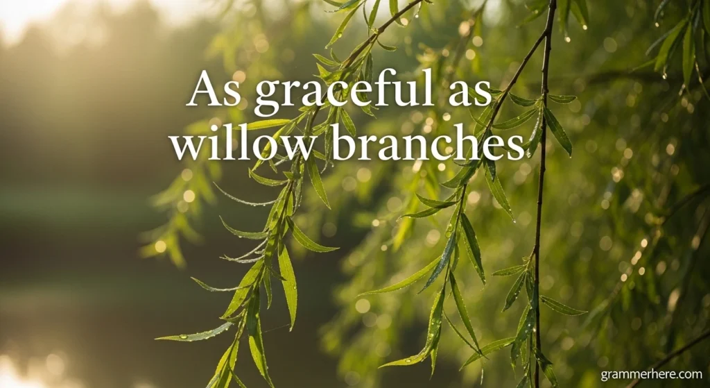 As graceful as willow branches