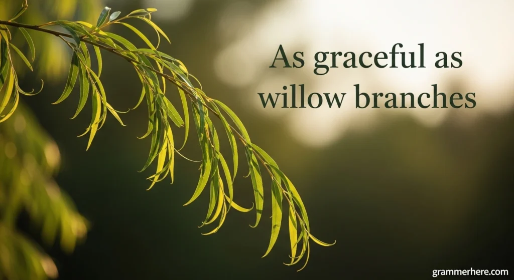 As graceful as willow branches