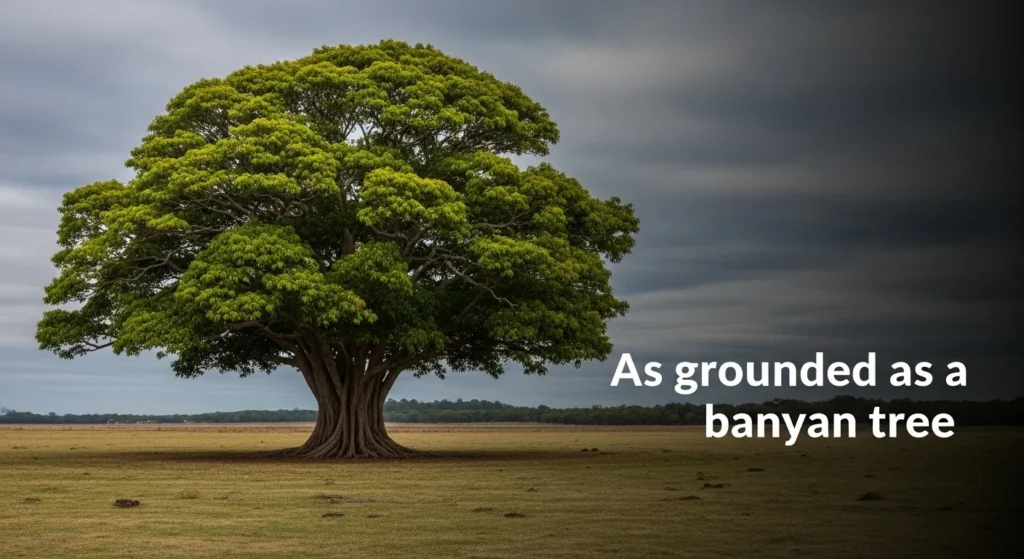 As grounded as a banyan tree