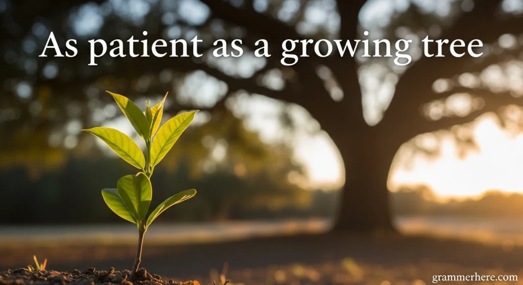 As patient as a growing tree