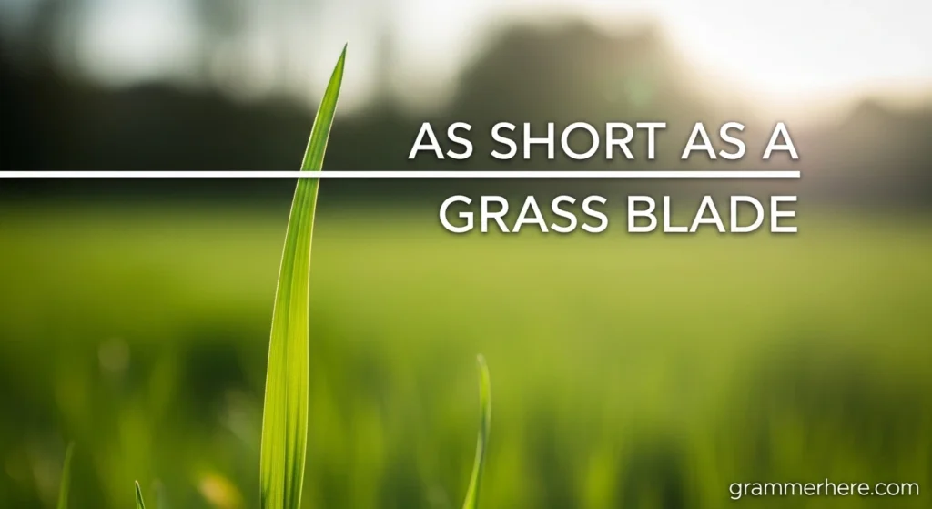 As Short as a Grass Blade