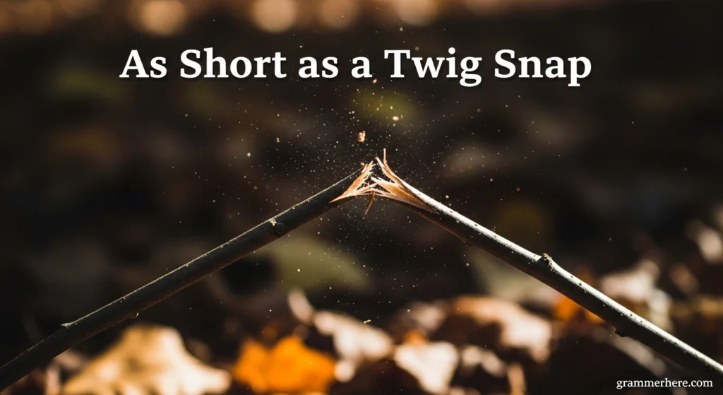 As Short as a Twig Snap