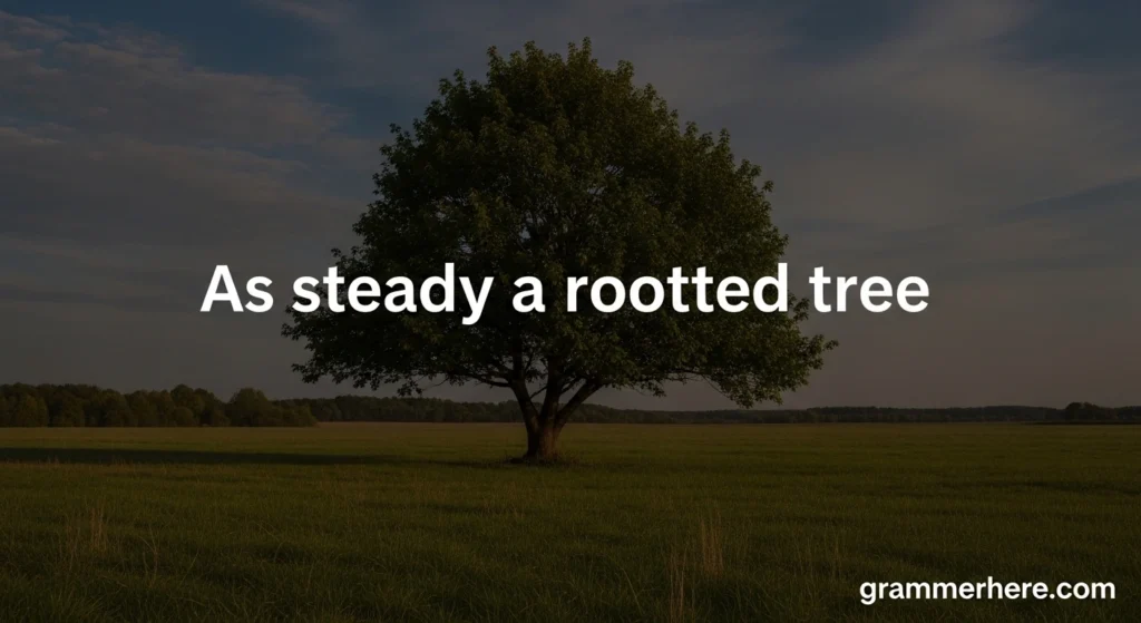 As steady as a rooted tree