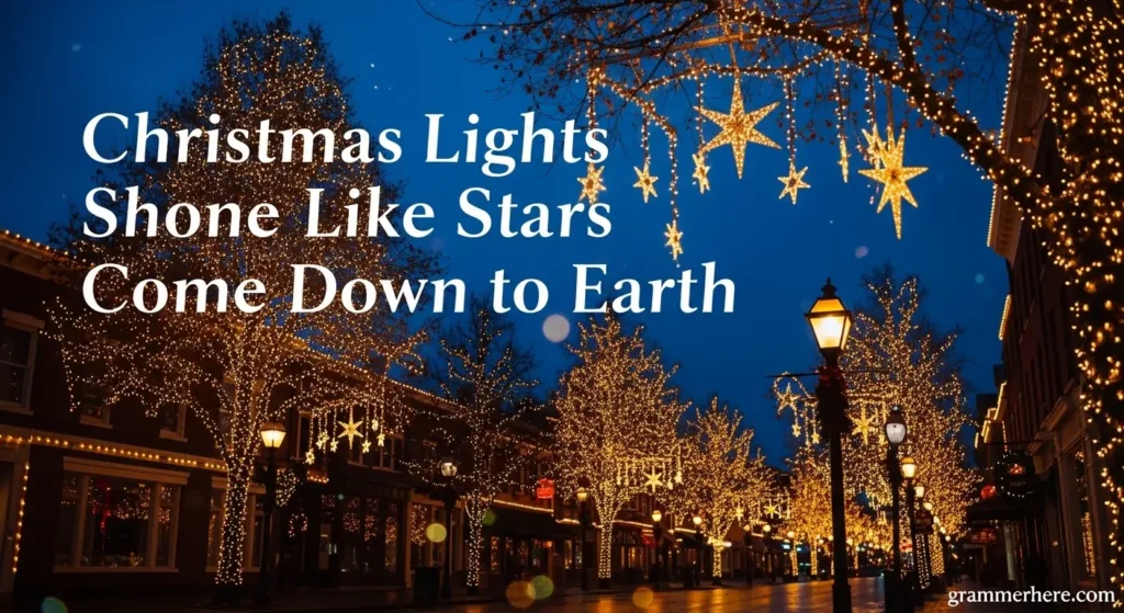 Christmas Lights Shone Like Stars Come Down to Earth