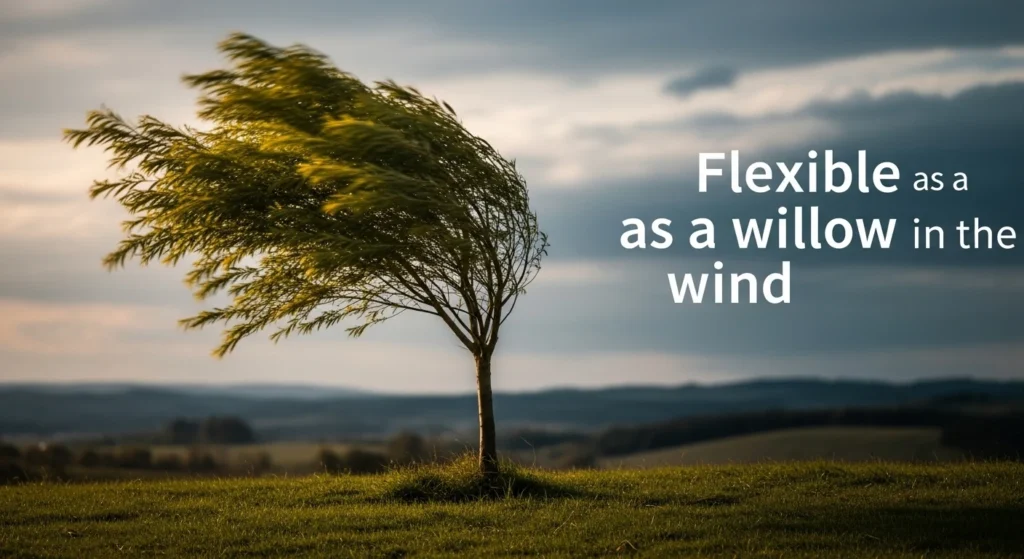 Flexible as a willow in the wind