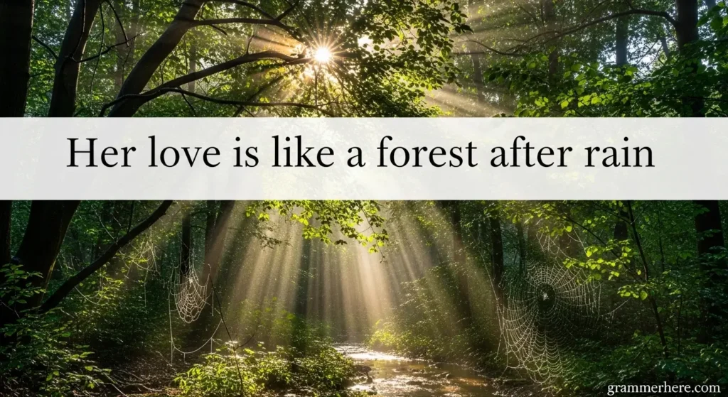 Her love is like a forest after rain