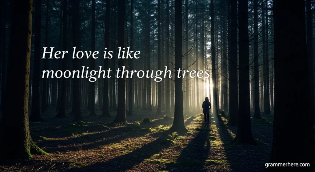Her love is like moonlight through trees