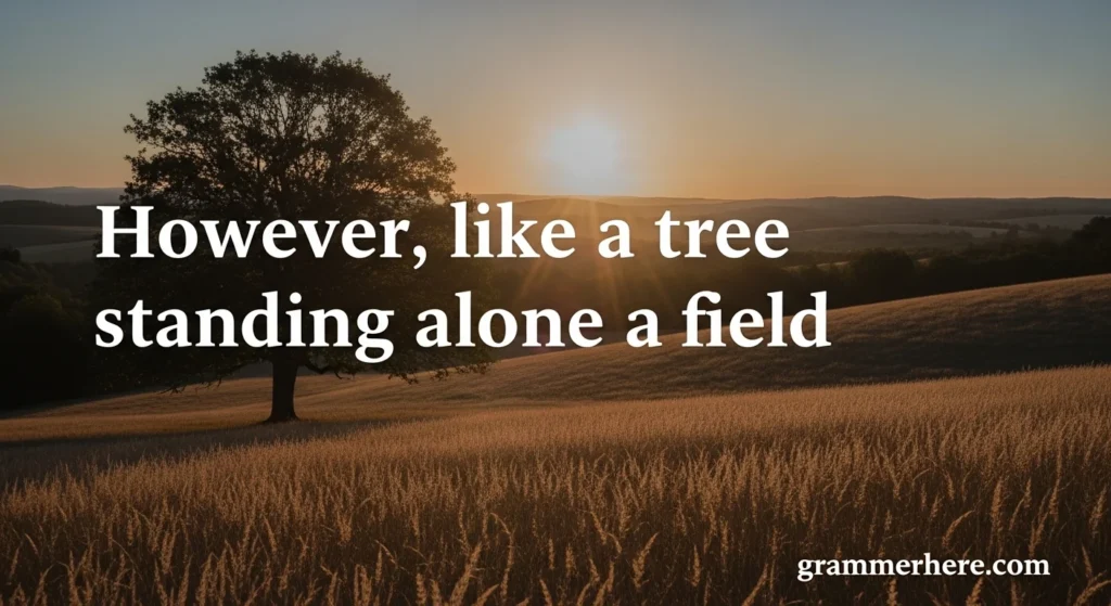 However, like a tree standing alone in a field