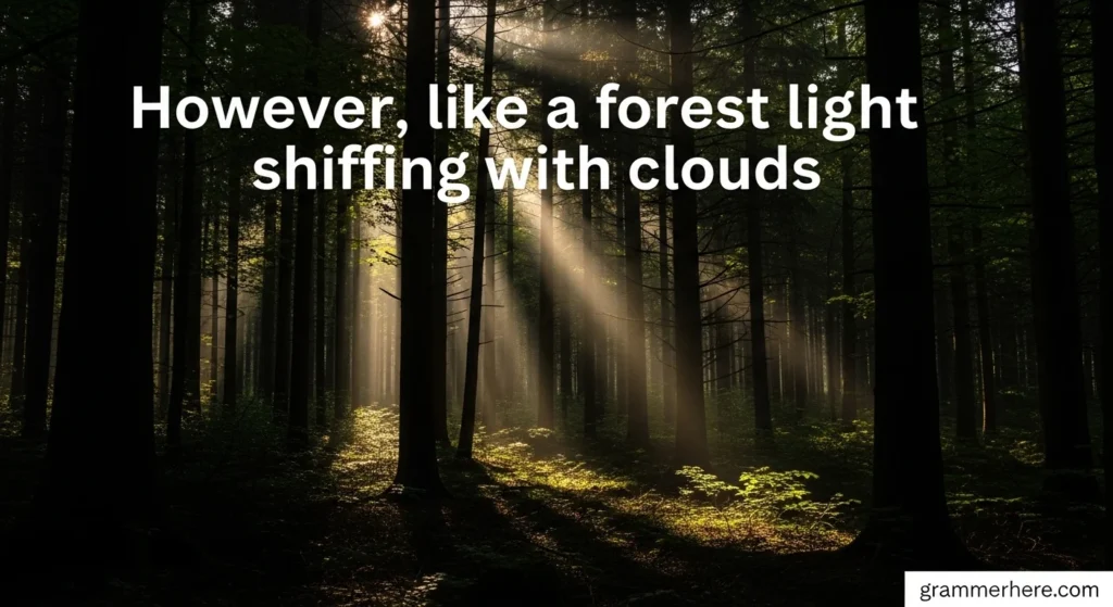 However, like forest light shifting with clouds