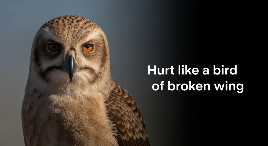 Hurt like a bird with a broken wing