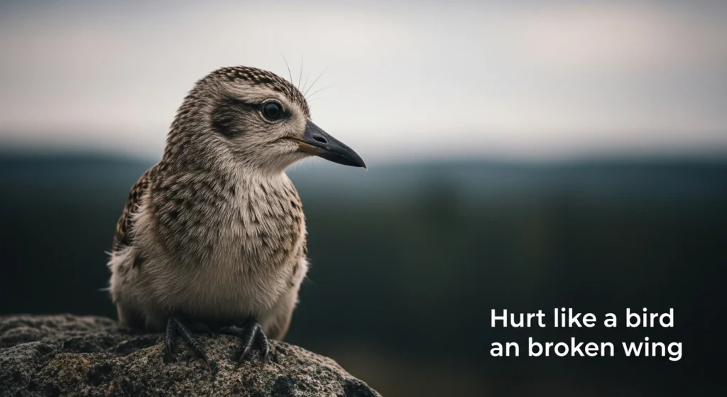 Hurt like a bird with a broken wing