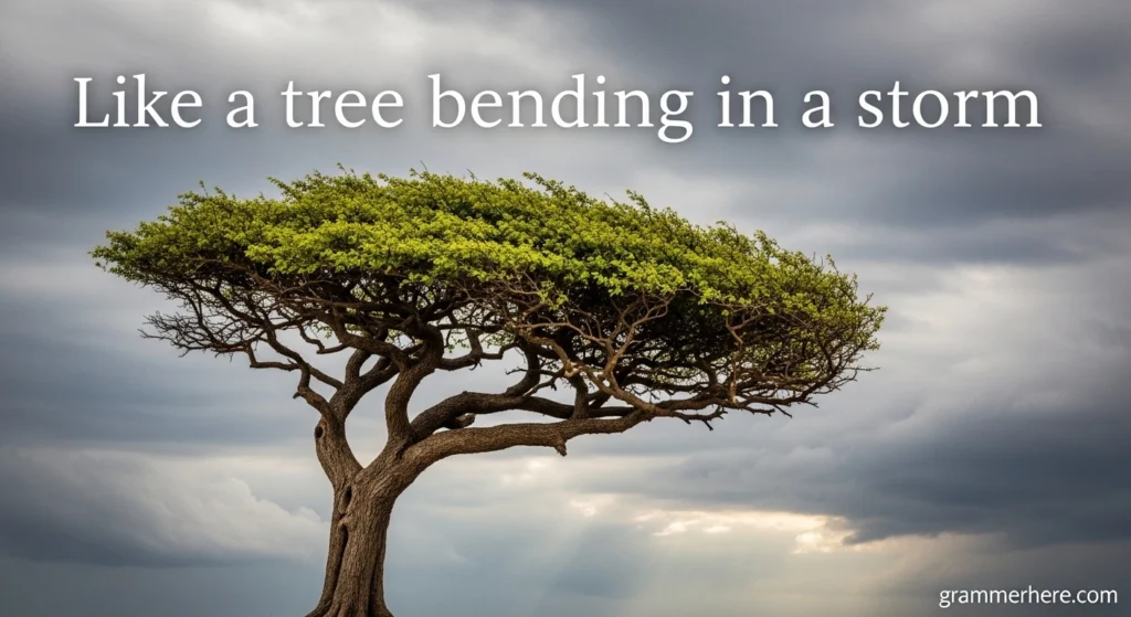 Like a tree bending in a storm