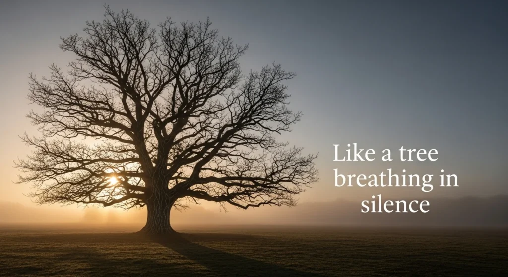Like a tree breathing in silence