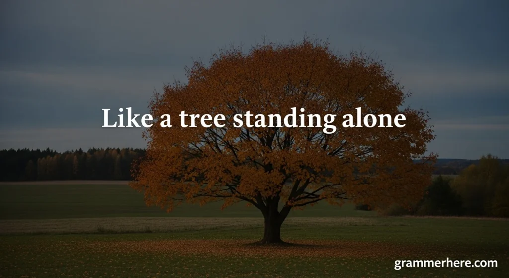 Like a tree standing alone