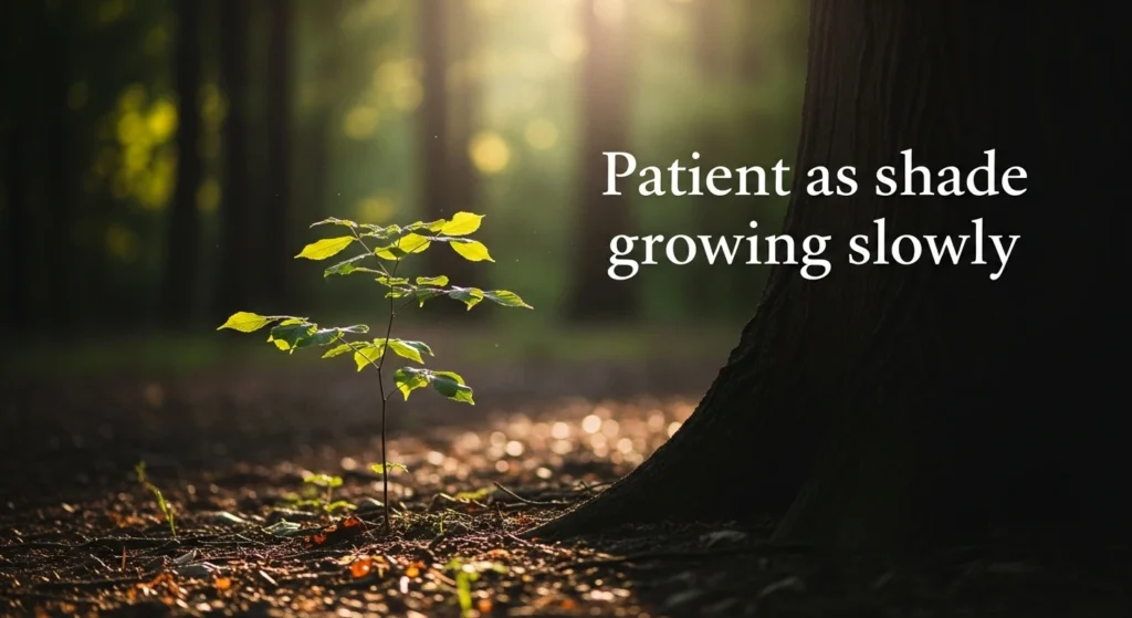 Patient as shade growing slowly