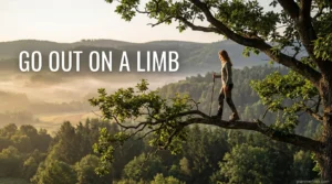 35+ Go Out on a Limb