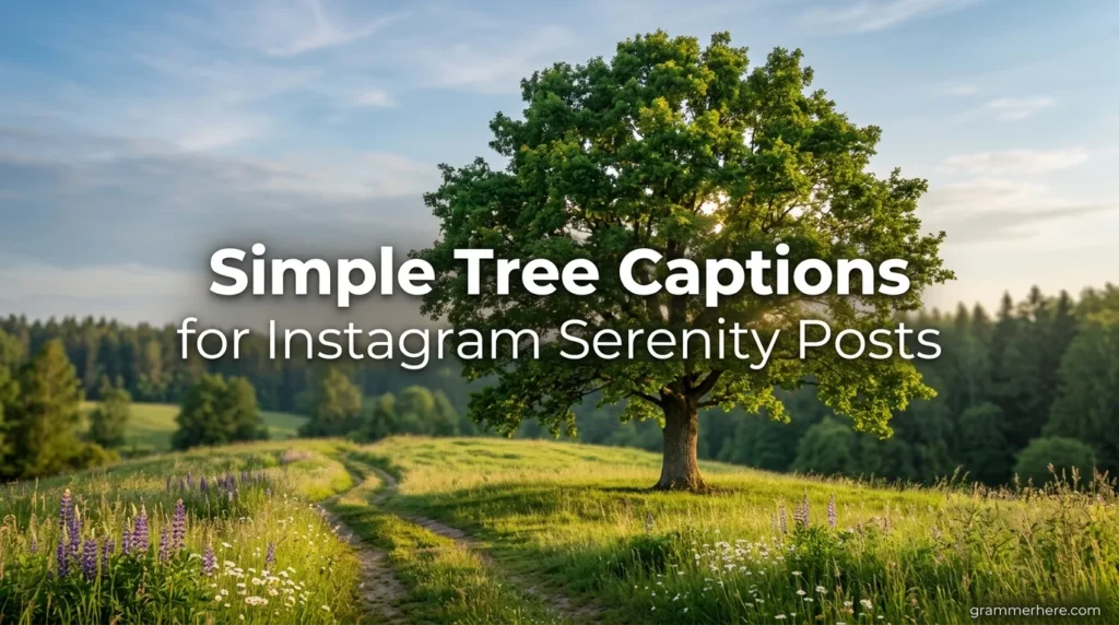 Simple Tree Captions for Instagram Serenity Posts